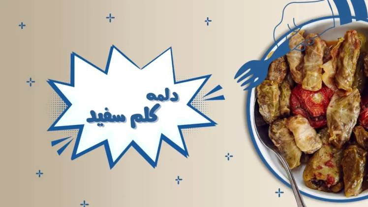 طرز تهیه دلمه کلم سفید